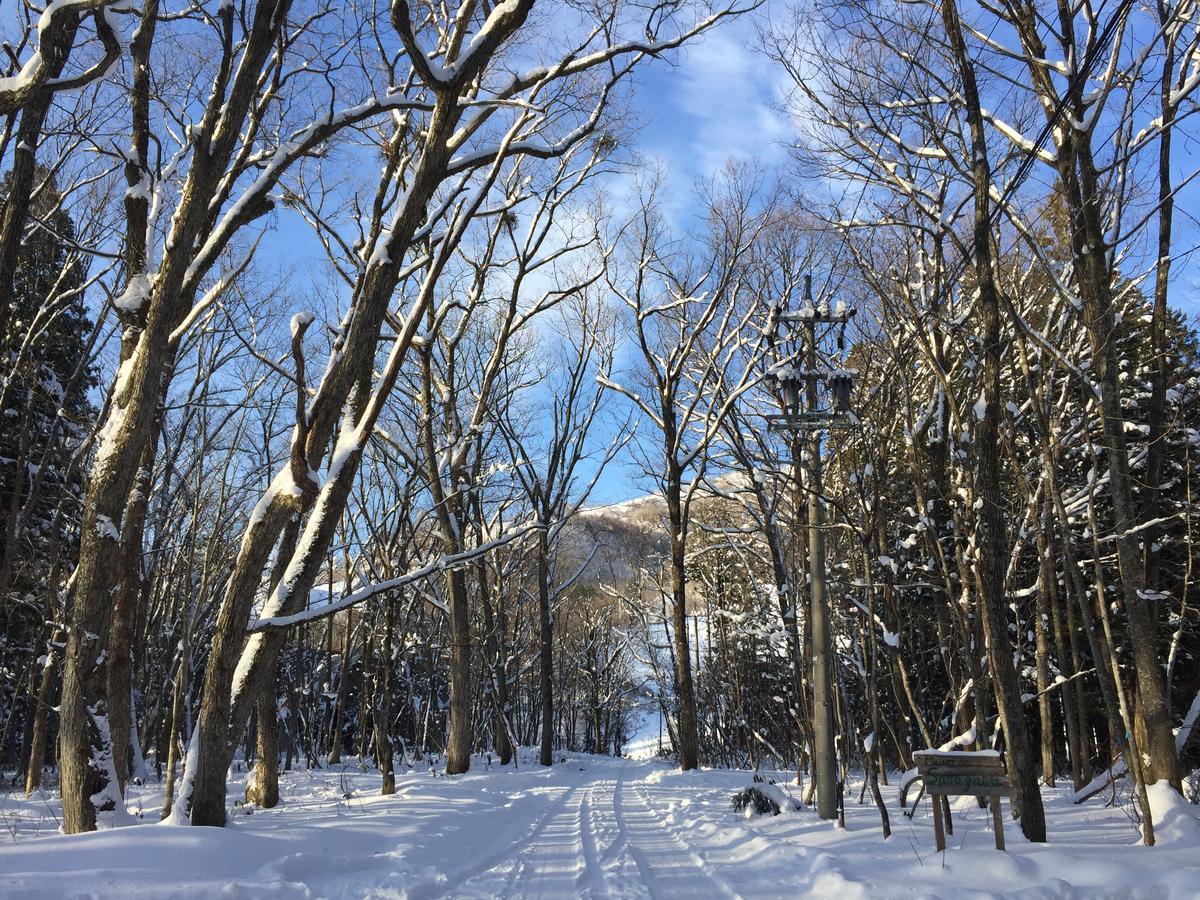 Maison De Sasagawa Hakuba Exteriör bild